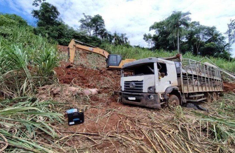 Caminhão carregado suínos tomba e animais desaparecem do local no