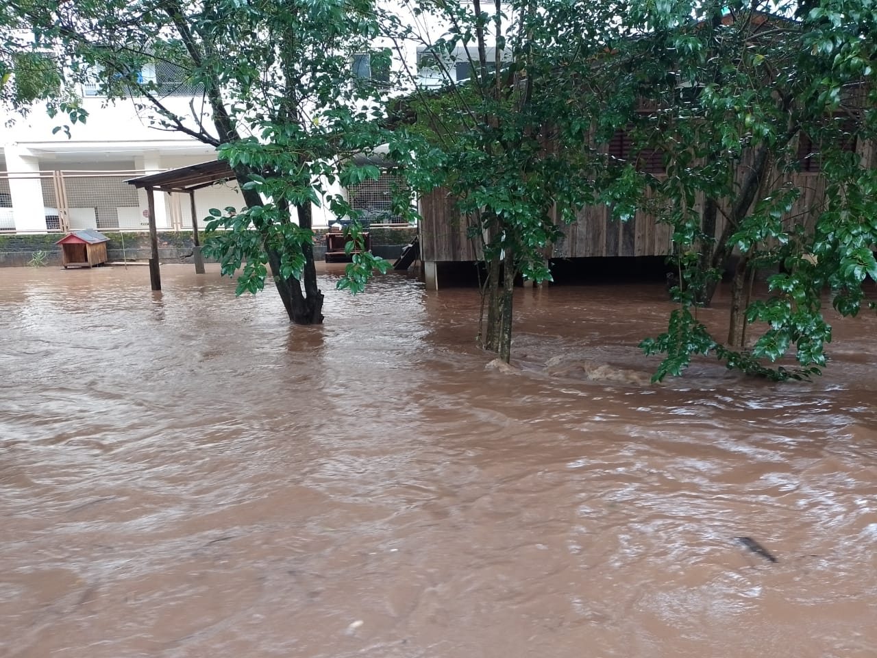 Chuva Causa Estragos Em Pontos De Chapec Di Regional Portal De