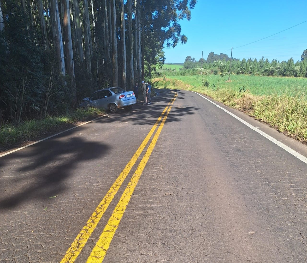 Motorista Perde O Controle Do Veículo E Bate Contra árvore No Oeste